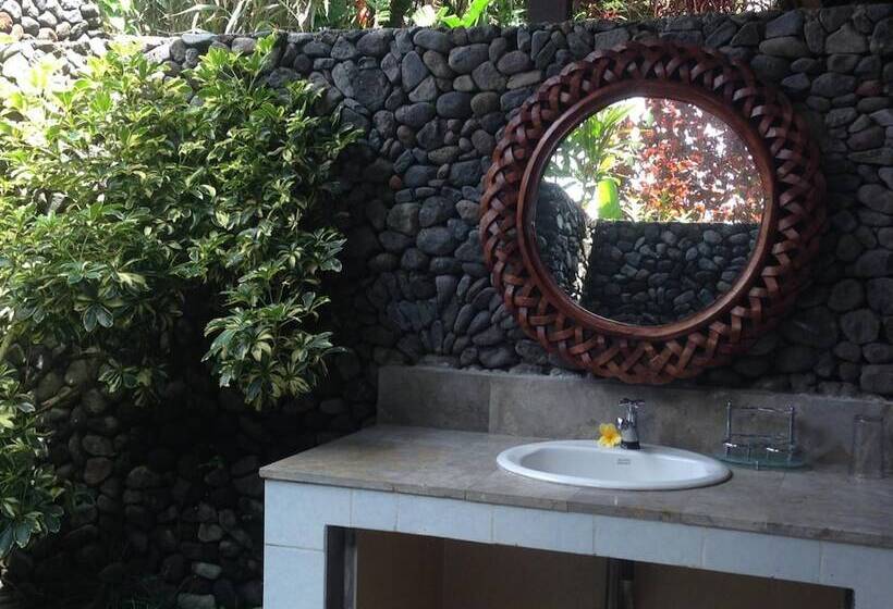 膳宿费 Nirarta Center For Living Awareness