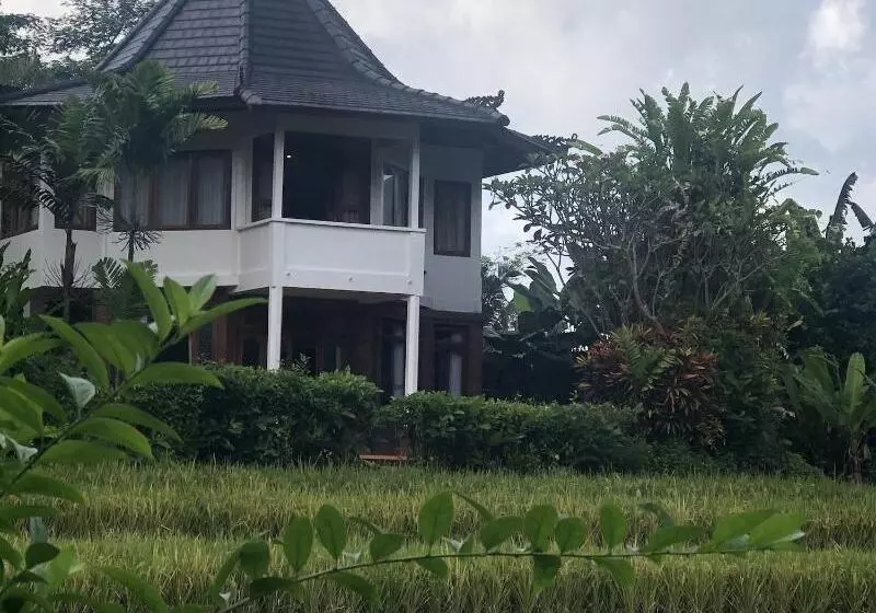 Majatalo Nirarta Center For Living Awareness