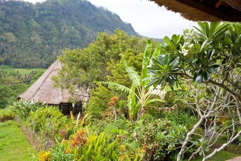 Majatalo Nirarta Center For Living Awareness