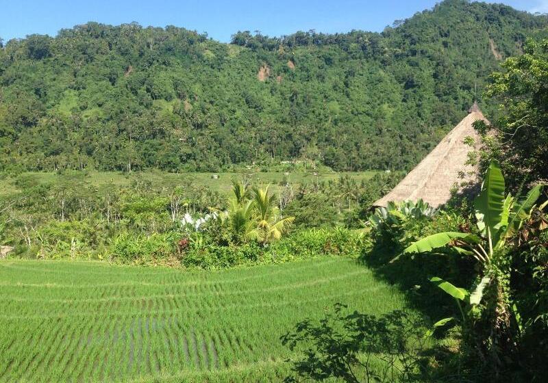 膳宿费 Nirarta Center For Living Awareness