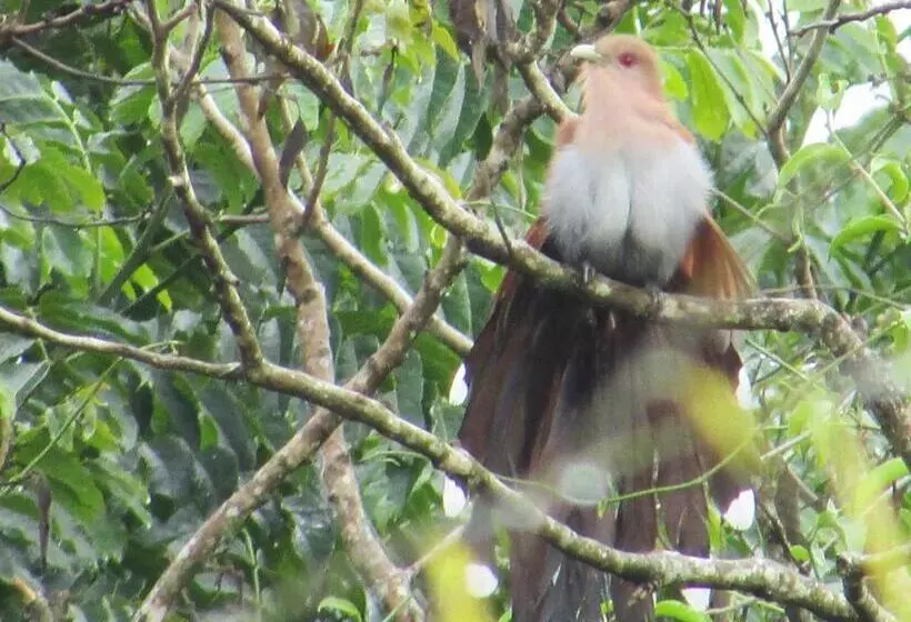 Majatalo Pousada Village Tere