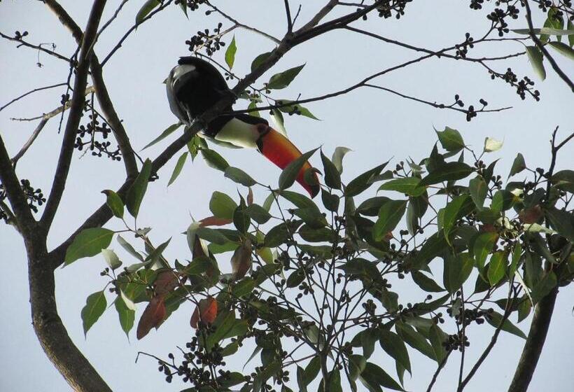 פנסיון Pousada Village Tere