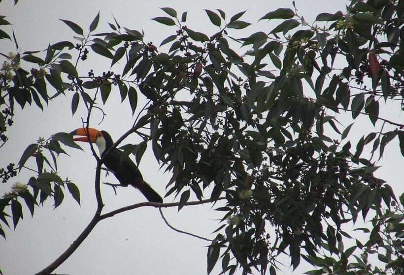 פנסיון Pousada Village Tere