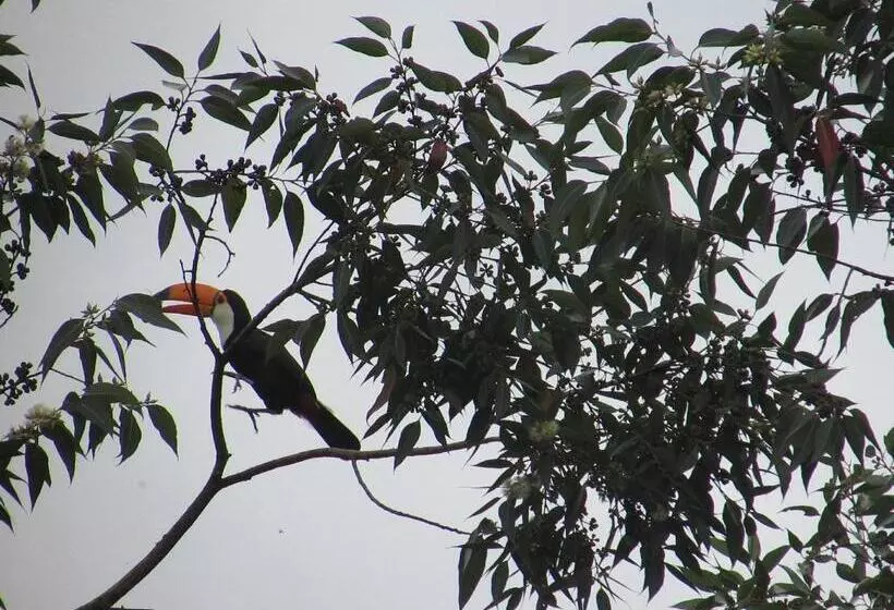 Majatalo Pousada Village Tere