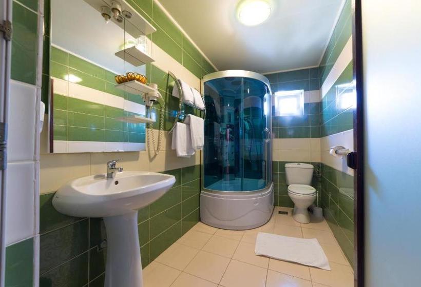 פנסיון Vila Steaua Nordului