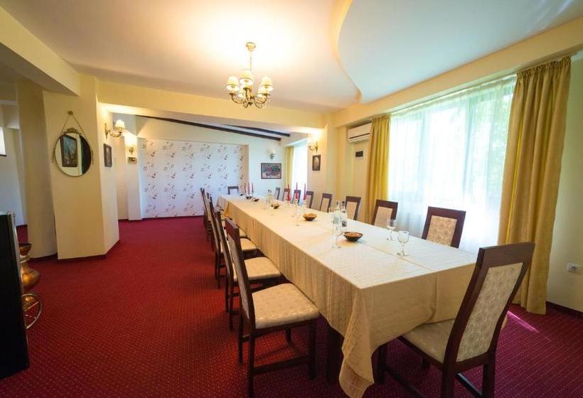 פנסיון Vila Steaua Nordului