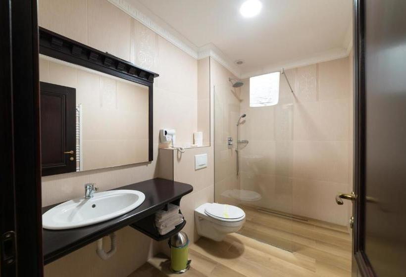 פנסיון Vila Steaua Nordului