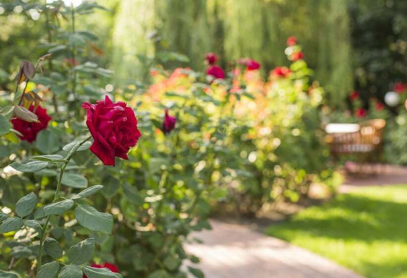 بنسيون Villa Rosa