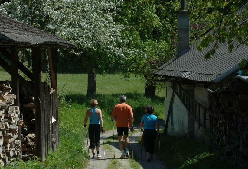 Pension Appartement Lanzer