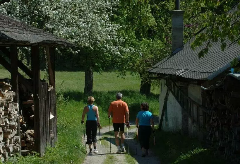 Pension Appartement Lanzer