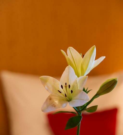 Pension Appartement Lanzer