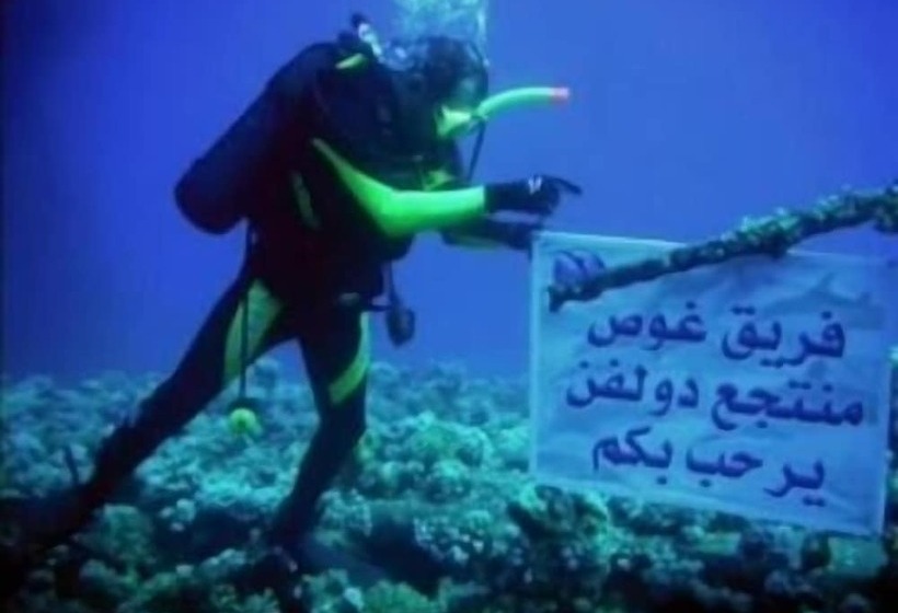 Dolphin Beach Resort