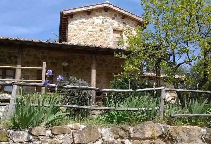 ホテル Agriturismo Casa Fibbianello