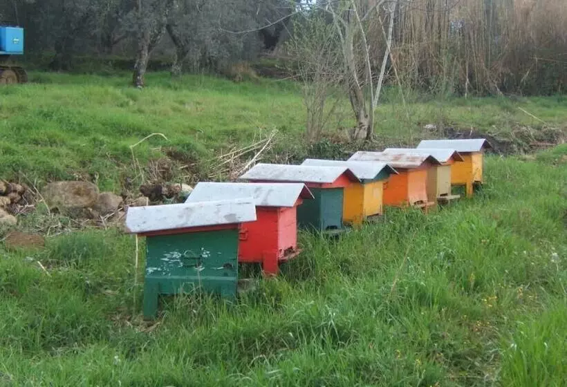 ホテル Agriturismo Casa Fibbianello