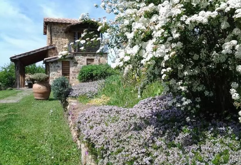 ホテル Agriturismo Casa Fibbianello