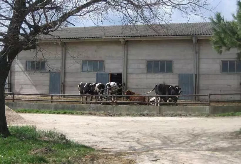 ホテル Agriturismo Casa Fibbianello