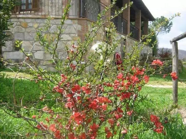 ホテル Agriturismo Casa Fibbianello