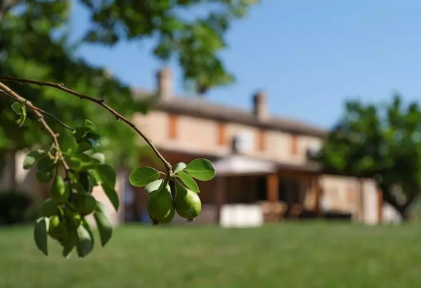 Hotelli Casale Talevi