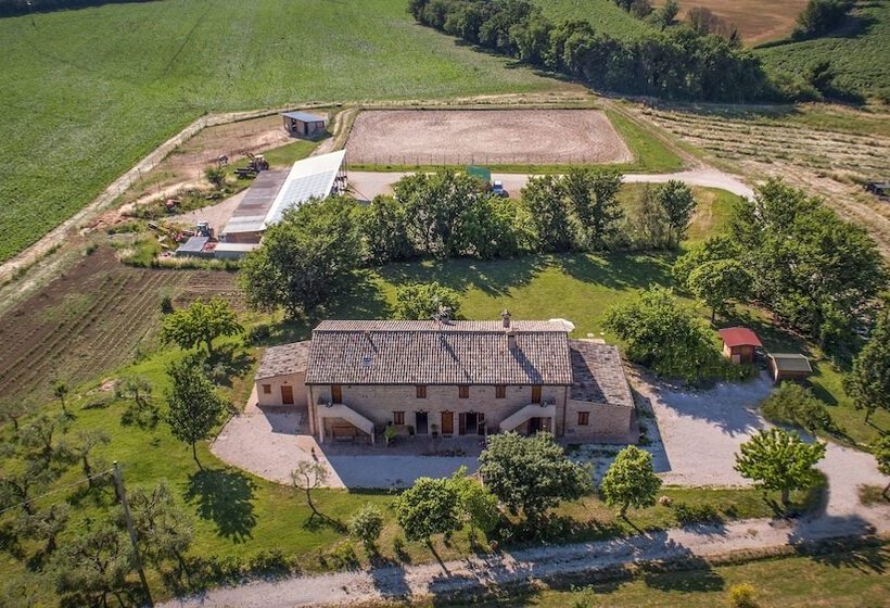 Отель Casale Talevi