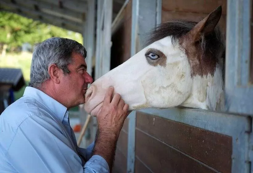 Hotelli Casale Talevi