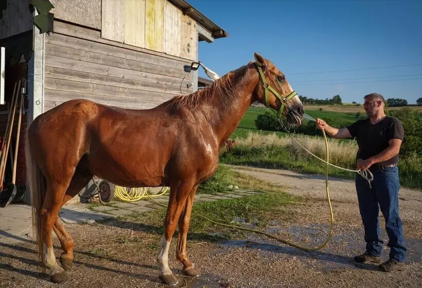 Hotelli Casale Talevi