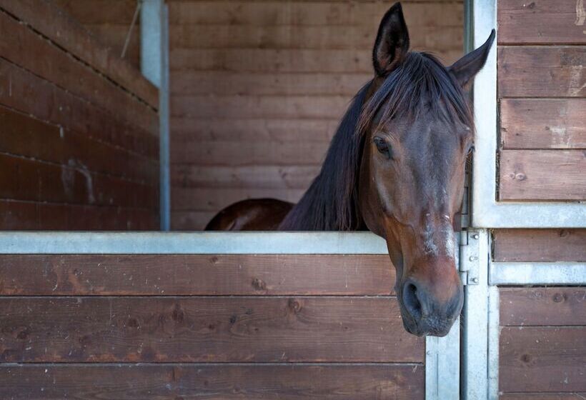 Отель Casale Talevi