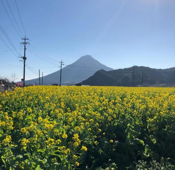 Pensão Family Ryokan Kawakyu With Showa Retro, Private Hot Spring