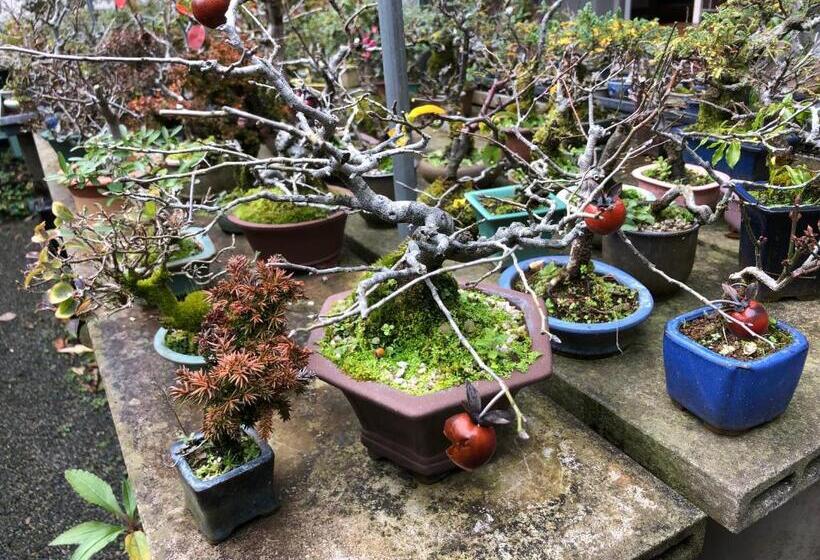 Pensão Family Ryokan Kawakyu With Showa Retro, Private Hot Spring