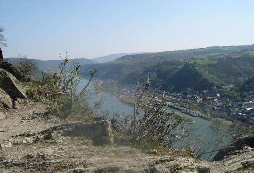 פנסיון Nassauer Hof