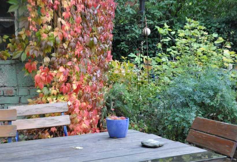 פנסיון Nassauer Hof