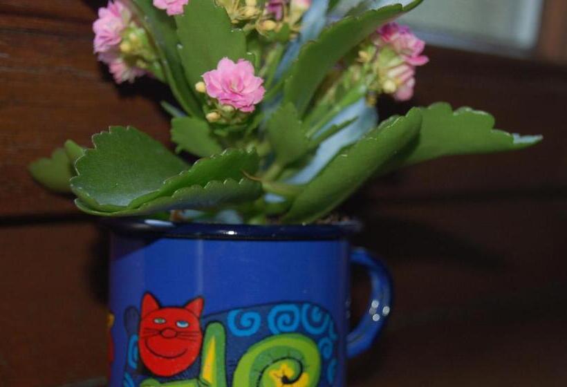 פנסיון Tre Camere