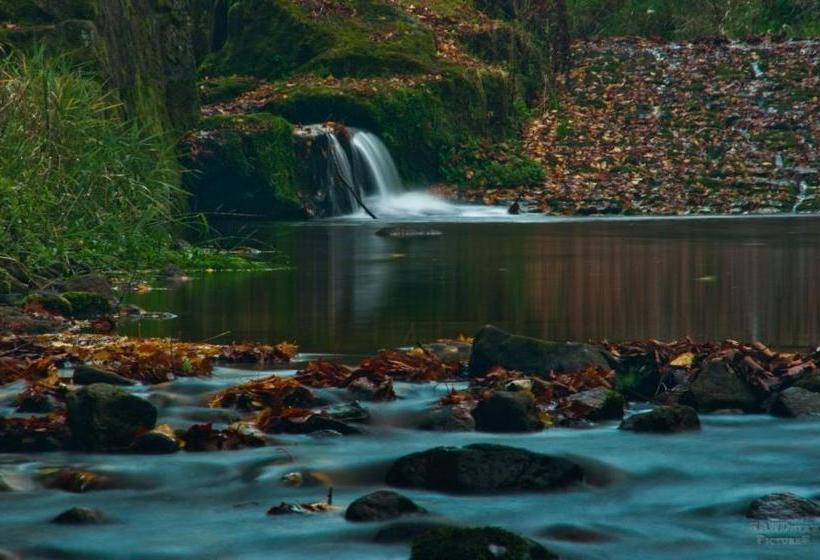 Pension Fuhrmann S Elb  Café