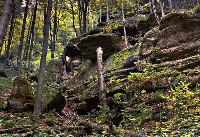 Pension Fuhrmann S Elb  Café