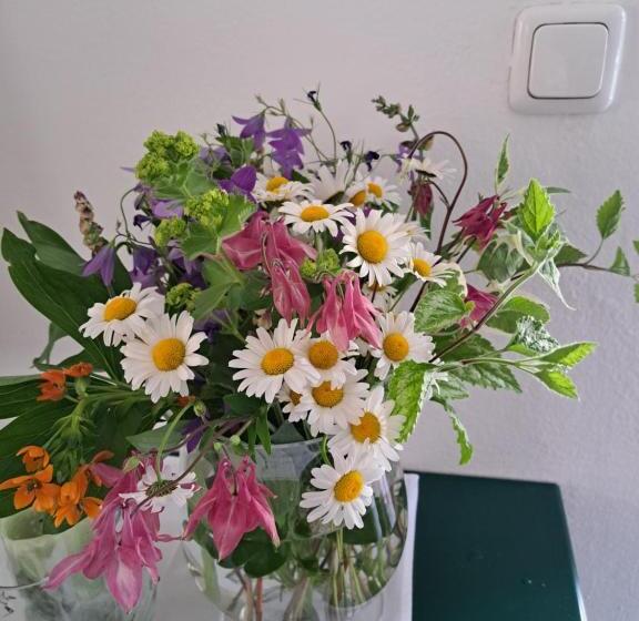 Pension Und Appartement Weinschreiber