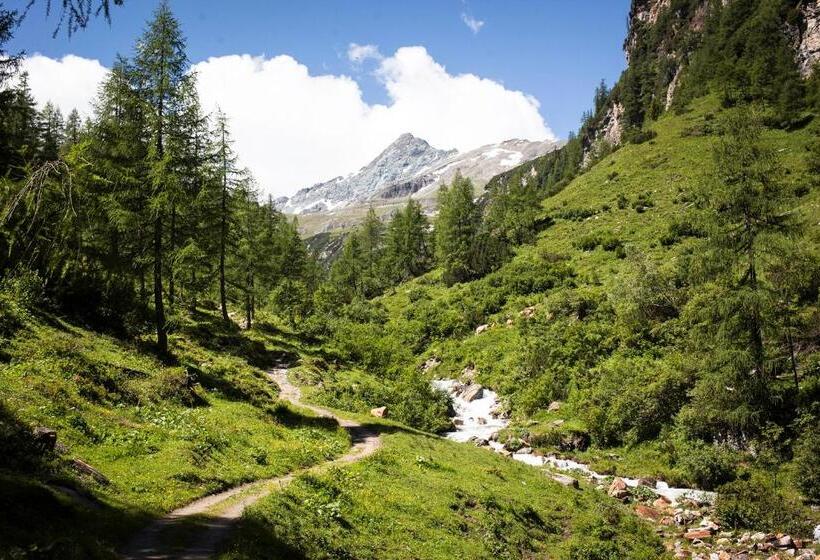 Pension Und Appartement Weinschreiber