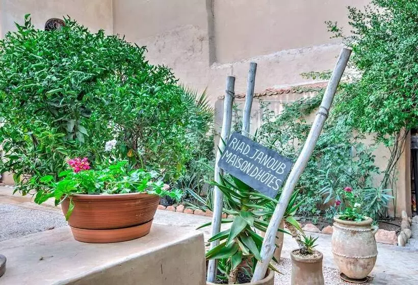 Riad Janoub