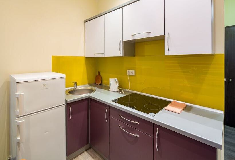 Apartment Fedkovycha