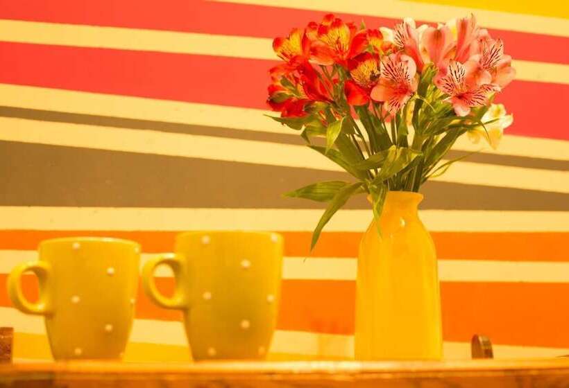 Apartment Fedkovycha