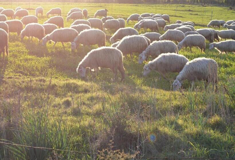 호텔 Agriturismo Agrifoglio