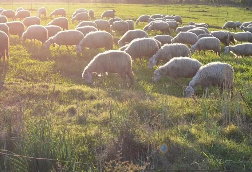 هتل Agriturismo Agrifoglio
