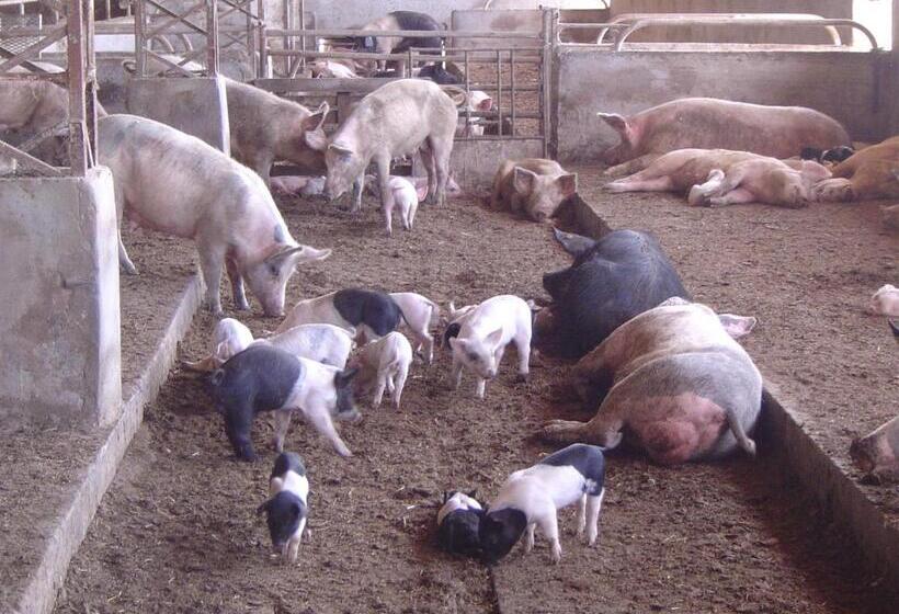 호텔 Agriturismo Agrifoglio