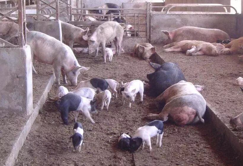هتل Agriturismo Agrifoglio