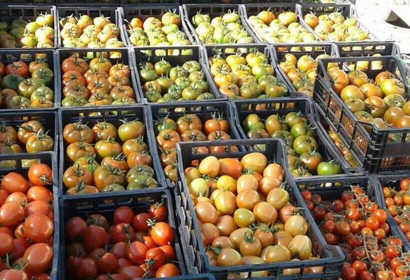 호텔 Agriturismo Agrifoglio