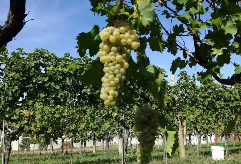 ホテル Agriturismo Tonutti