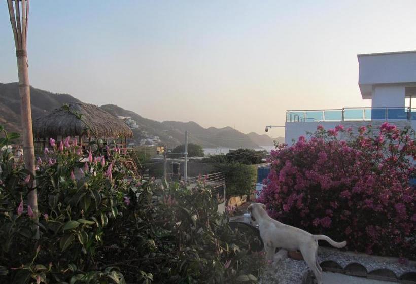 پانسیون Casa Tara