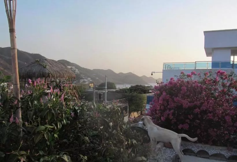 ペンション Casa Tara