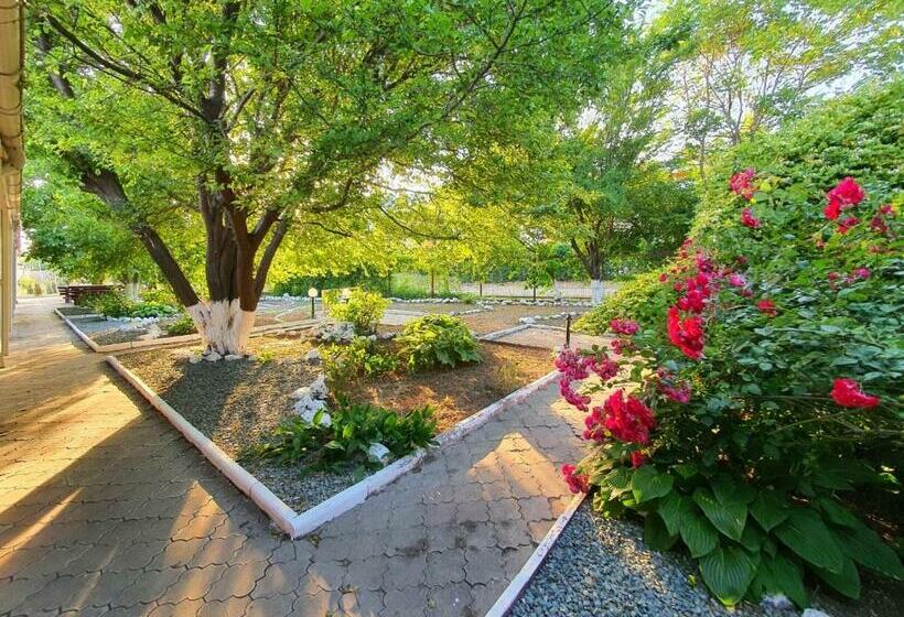 بنسيون Decebal Eforie Nord