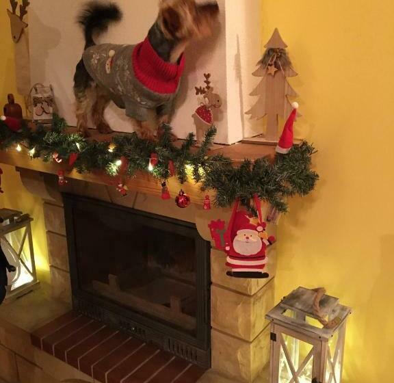 بنسيون Vila Marko