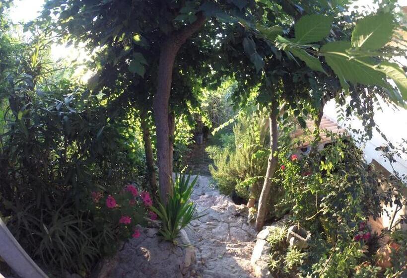 Appartamenti Pousada Michelino