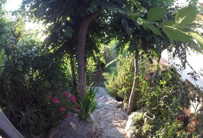 Appartamenti Pousada Michelino